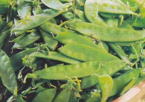 Garden-Fresh Vegetable Tartlets with Parmesan