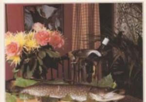 Elegant Pike Cutlets with Scallops: A Timeless French Classic