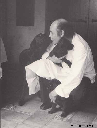 Breton Pink  Chips  Lobsters Poached in Chardonnay: Alain Chapel s Timeless Recipe