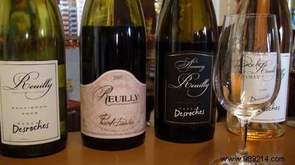 Elegant Saffron Scallops in Their Shells Paired with Reuilly White Wine