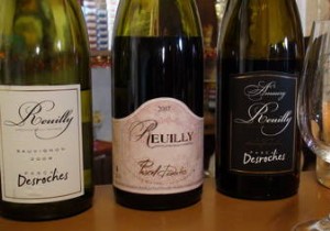 Elegant Saffron Scallops in Their Shells Paired with Reuilly White Wine