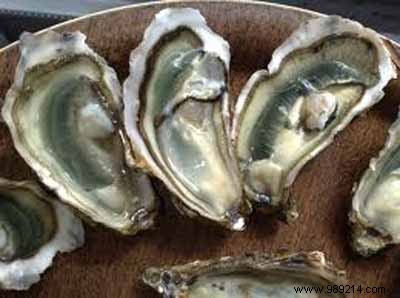 Exquisite Sea Bass en Papillote with Silky Oyster Mousse: A French Gourmet Recipe