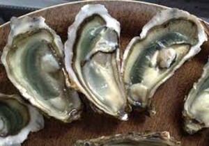 Exquisite Sea Bass en Papillote with Silky Oyster Mousse: A French Gourmet Recipe