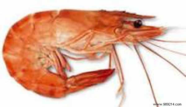 Seared Prawns with Premium Fleur de Sel from Noirmoutier and Fresh Virgin Sauce