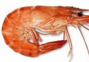 Seared Prawns with Premium Fleur de Sel from Noirmoutier and Fresh Virgin Sauce