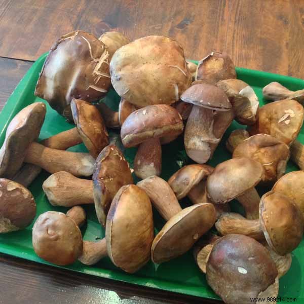 Velvety Creamy Porcini Mushroom Soup with Toasted Baguette Slices