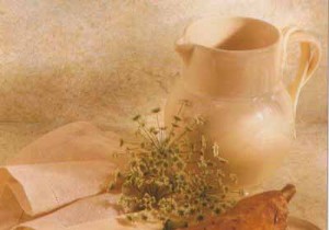 Roasted Lamb Fillet Medallions with Green and White Flageolets: Expert Recipe