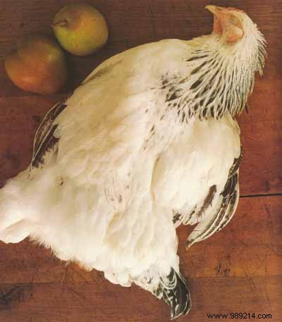 Authentic Bresse Chicken with Lyonnaise Tarragon Vinegar: A French Classic