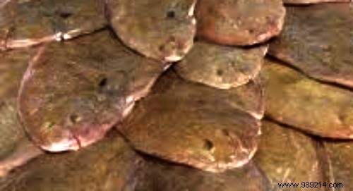 Exquisite Sole and Crayfish Stew with Anise and Sweet Garlic Butter