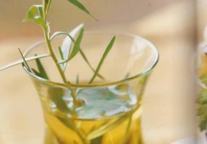 Fresh Tomato and Cucumber Tartare with Tuna and Feta