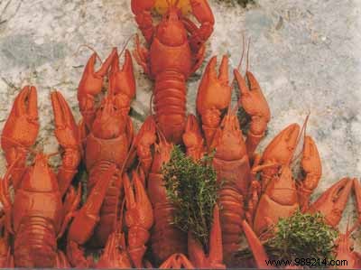 Authentic Lyon Crayfish Tail Gratin: A Festive French Classic