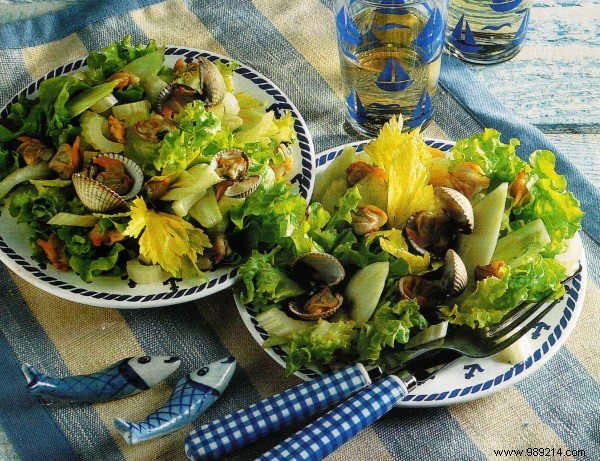 Clam Salad with Fennel: Fresh Seafood Recipe in 20 Minutes