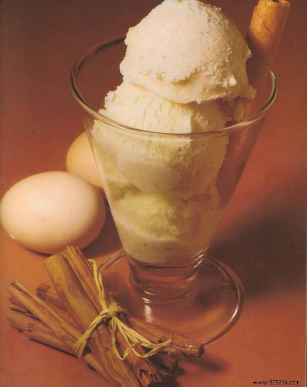 Creamy Homemade Cinnamon Ice Cream Recipe (Serves 6)