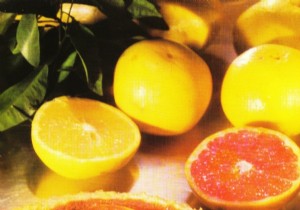 Exquisite Grapefruit Pie: Tangy Citrus Tart Recipe from Les Bons Desserts