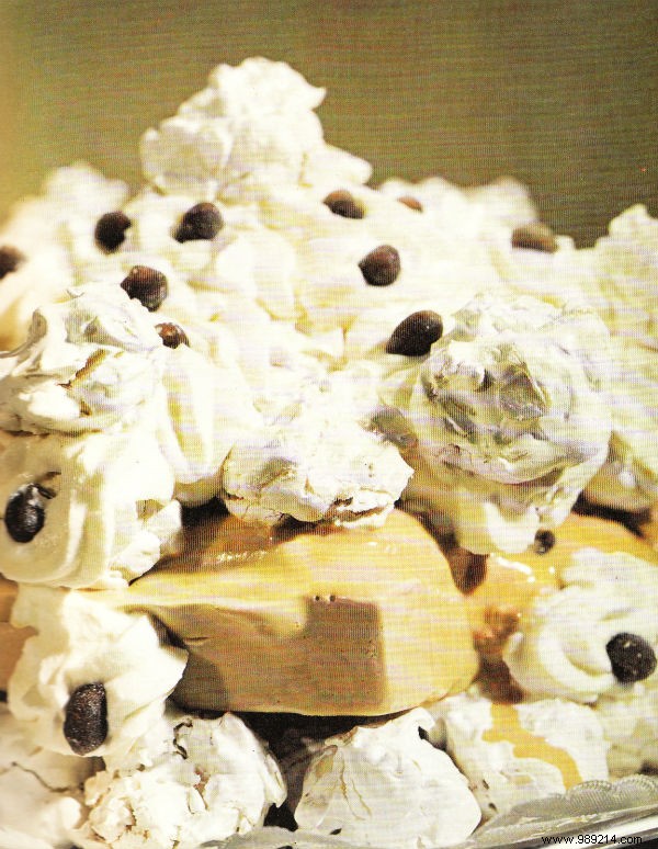 Classic Coffee Vacherin: Elegant Meringue Ice Cream Dessert from Larousse