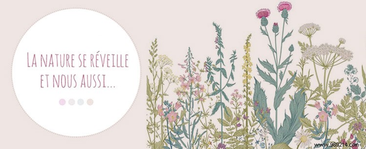 Soft Natural Wall Decor: Create a Tranquil, Harmonious Home