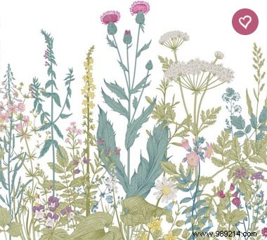 Soft Natural Wall Decor: Create a Tranquil, Harmonious Home