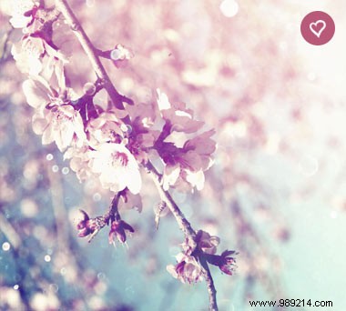 Soft Natural Wall Decor: Create a Tranquil, Harmonious Home