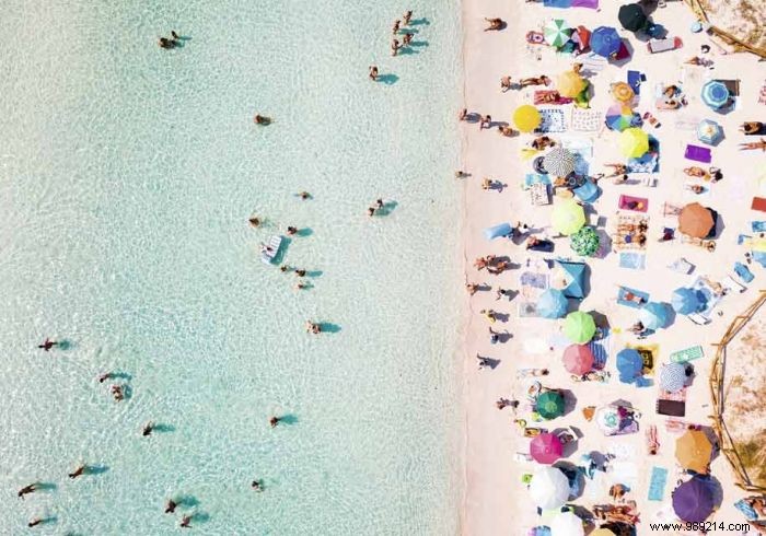 Spring Refresh: Declutter, Clean, and Revamp Your Home Decor