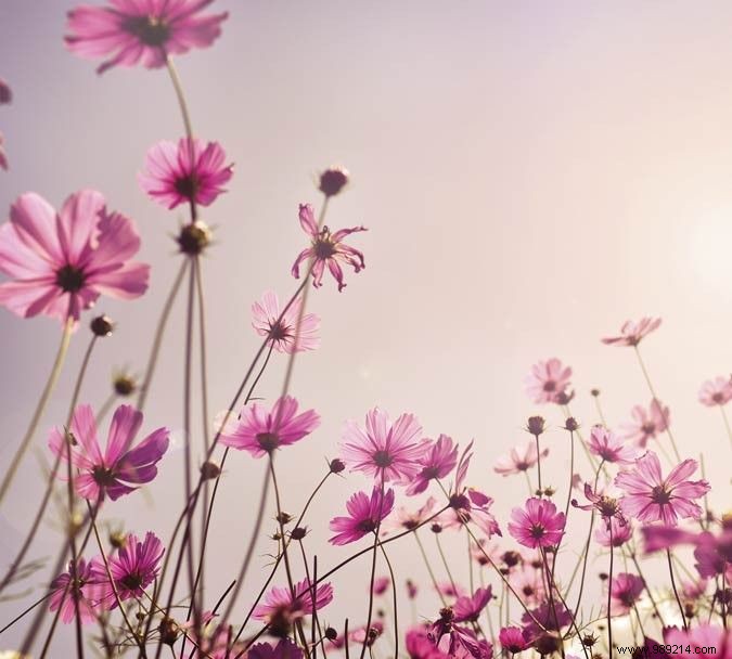 DIY Bedroom Decor Ideas: Refresh Your Space Affordably This New Year