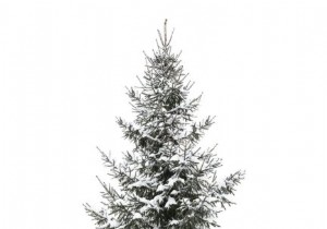 Dare to Be Original: Fresh Christmas Decoration Ideas for 2024