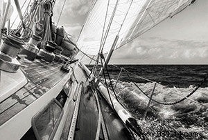 Top 10 Best-Selling Wall Art Images of 2018: Customer Favorites Revealed