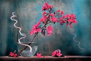 Top 10 Best-Selling Wall Art Images of 2018: Customer Favorites Revealed