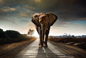 Top 10 Best-Selling Wall Art Images of 2018: Customer Favorites Revealed