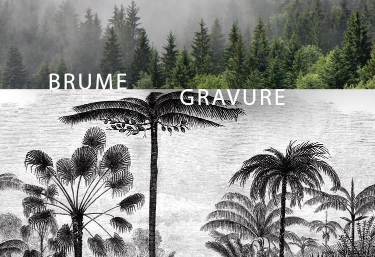 Top 10 Best-Selling Wall Art Images of 2018: Customer Favorites Revealed