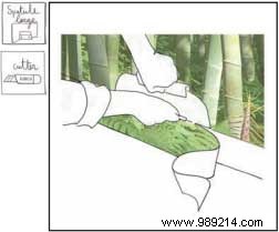 Expert Guide: How to Install Panoramic Wallpaper Like a Pro