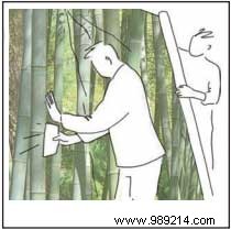 Expert Guide: How to Install Panoramic Wallpaper Like a Pro