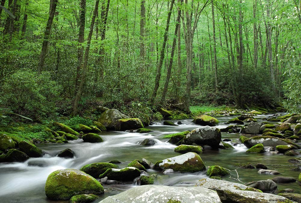 Scenolia s Top 10 Best-Selling Panoramic Wall Decorations