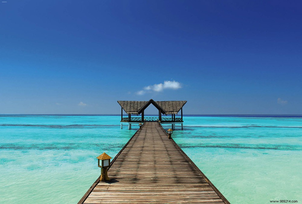 Scenolia s Top 10 Best-Selling Panoramic Wall Decorations