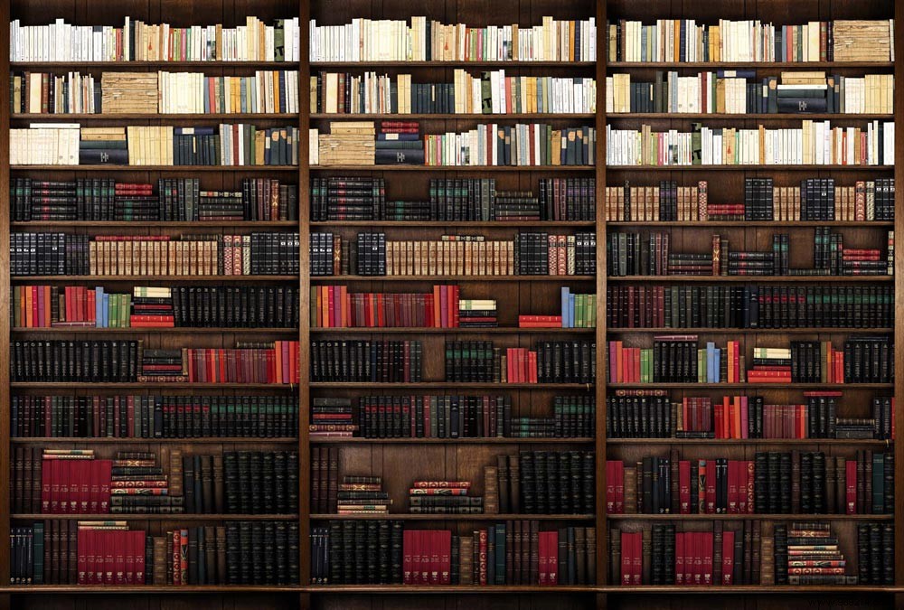 Scenolia s Top 10 Best-Selling Panoramic Wall Decorations