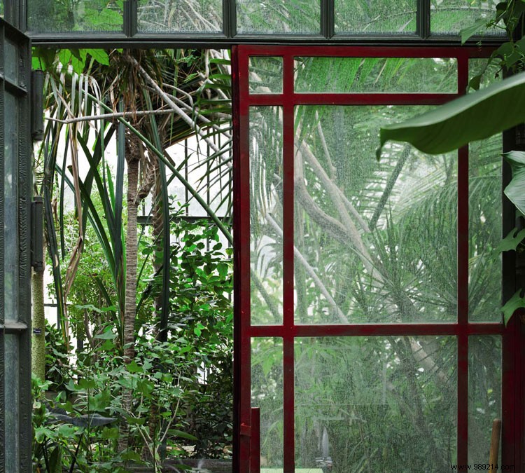 Scenolia s Top 10 Best-Selling Panoramic Wall Decorations