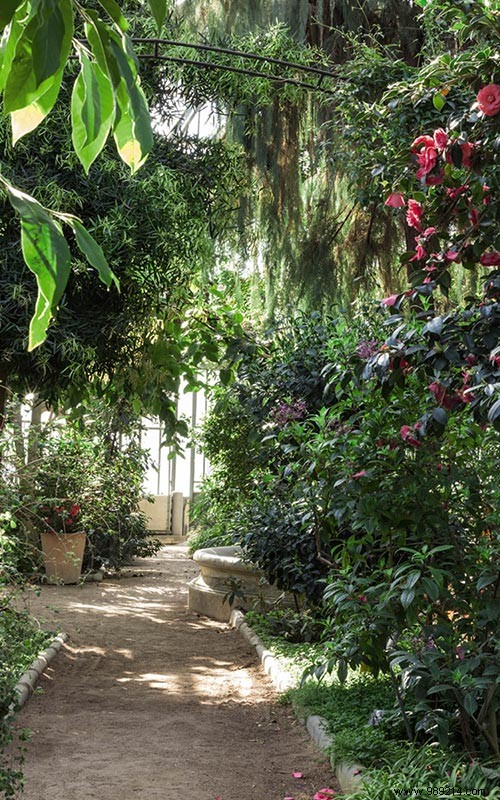 Scenolia s Top 10 Best-Selling Trompe l Oeil Wall Decorations