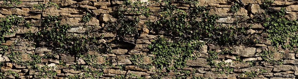 Scenolia s Top 10 Best-Selling Trompe l Oeil Wall Decorations