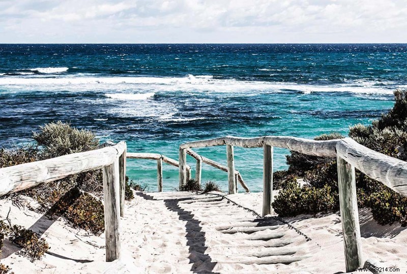 Scenolia s Top 10 Best-Selling Trompe l Oeil Wall Decorations