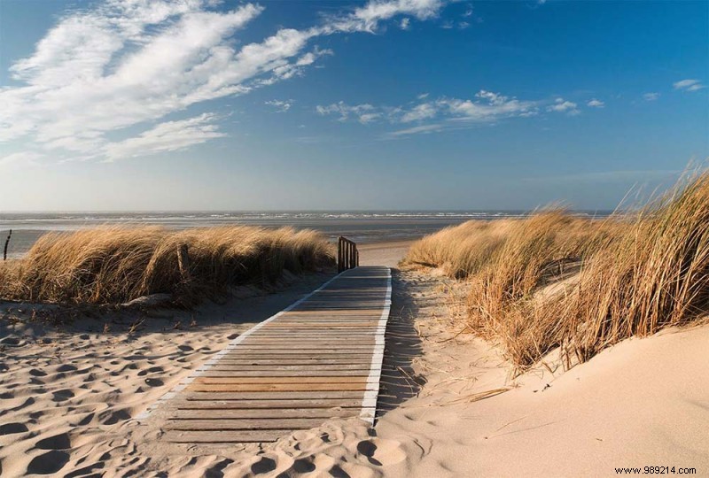 Scenolia s Top 10 Best-Selling Trompe l Oeil Wall Decorations