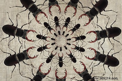 Viewing Distance and Resolution: Key to Perfect Photo Prints