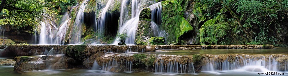 Scenolia s Top 10 Best-Selling Privacy Screens: Customer Favorites Revealed