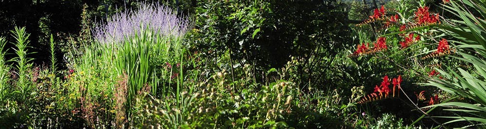 Scenolia s Top 10 Best-Selling Privacy Screens: Customer Favorites Revealed