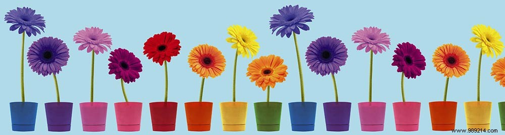 Scenolia s Top 10 Best-Selling Privacy Screens: Customer Favorites Revealed