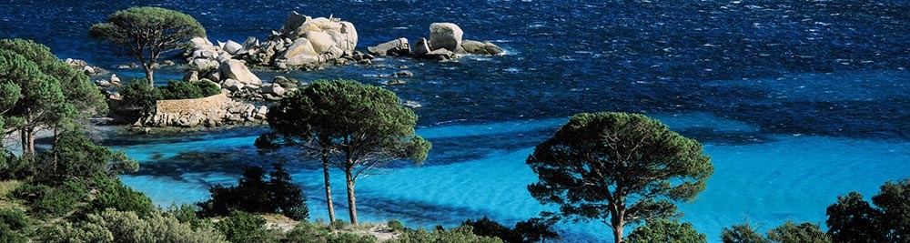 Scenolia s Top 10 Best-Selling Privacy Screens: Customer Favorites Revealed