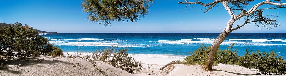 Scenolia s Top 10 Best-Selling Privacy Screens: Customer Favorites Revealed