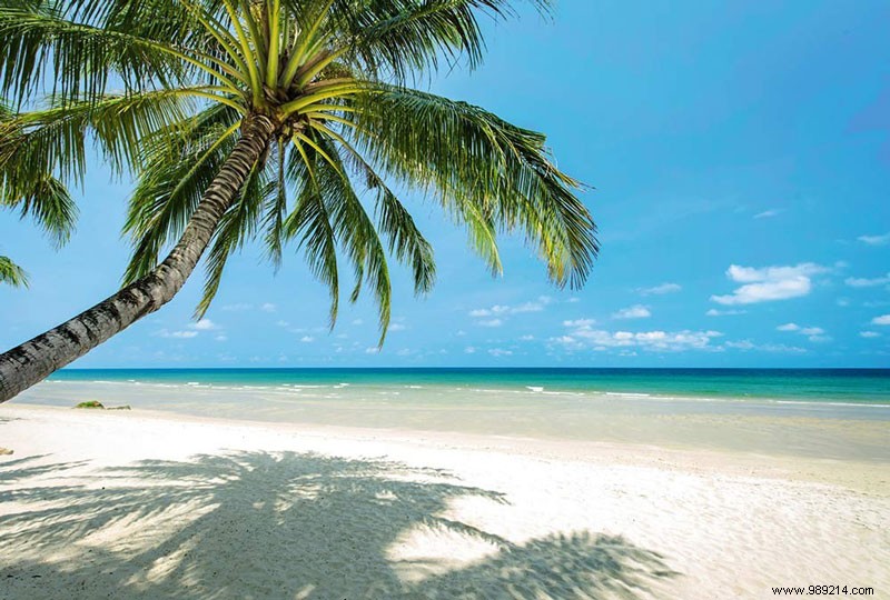 Renter-Friendly Wall Decor: Transform Your Rental Space Effortlessly