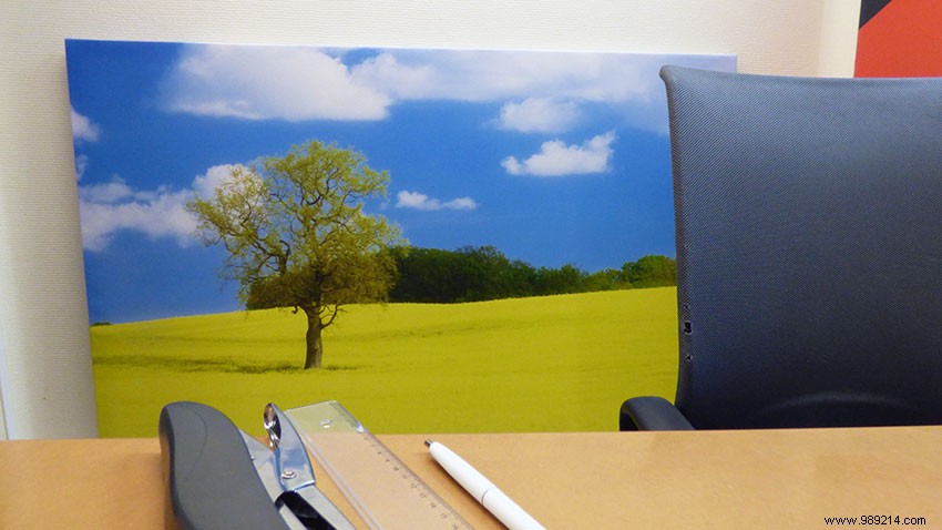 Step-by-Step: Installing a Giant Canvas Painting to Brighten Our Office