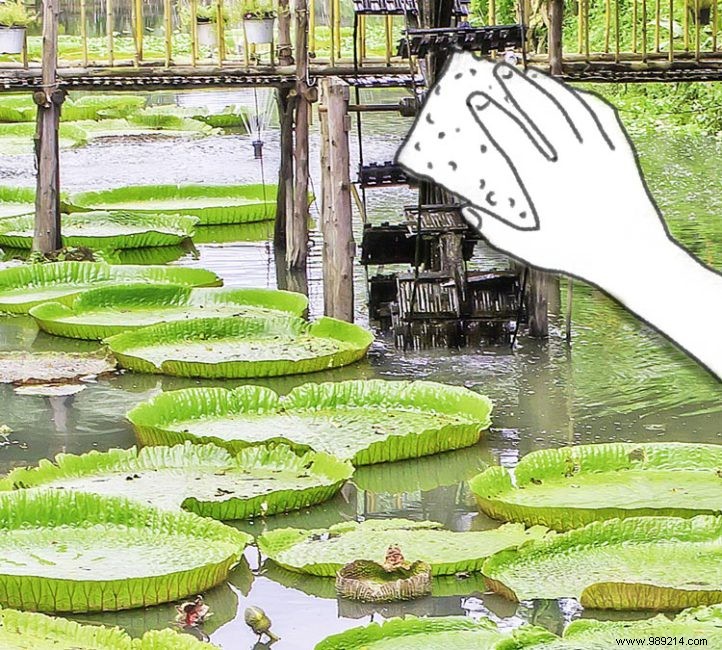 Expert Guide: How to Clean and Maintain Your Wallpaper Like New