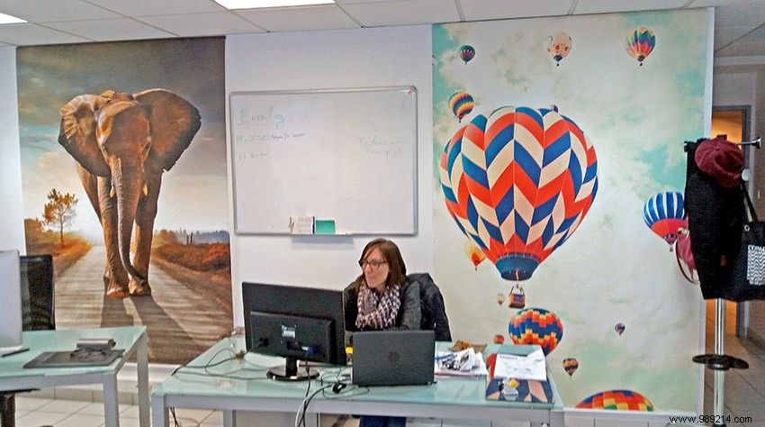 Scenolia s New Office Transformation: Expert Insights on Custom Wall Decor Installation