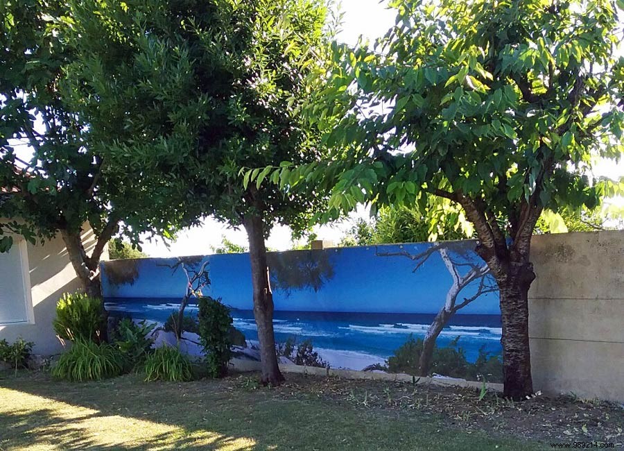 Scenolia s 2016 Highlights: Innovative Wallpapers, Team Growth, and Customer Inspirations